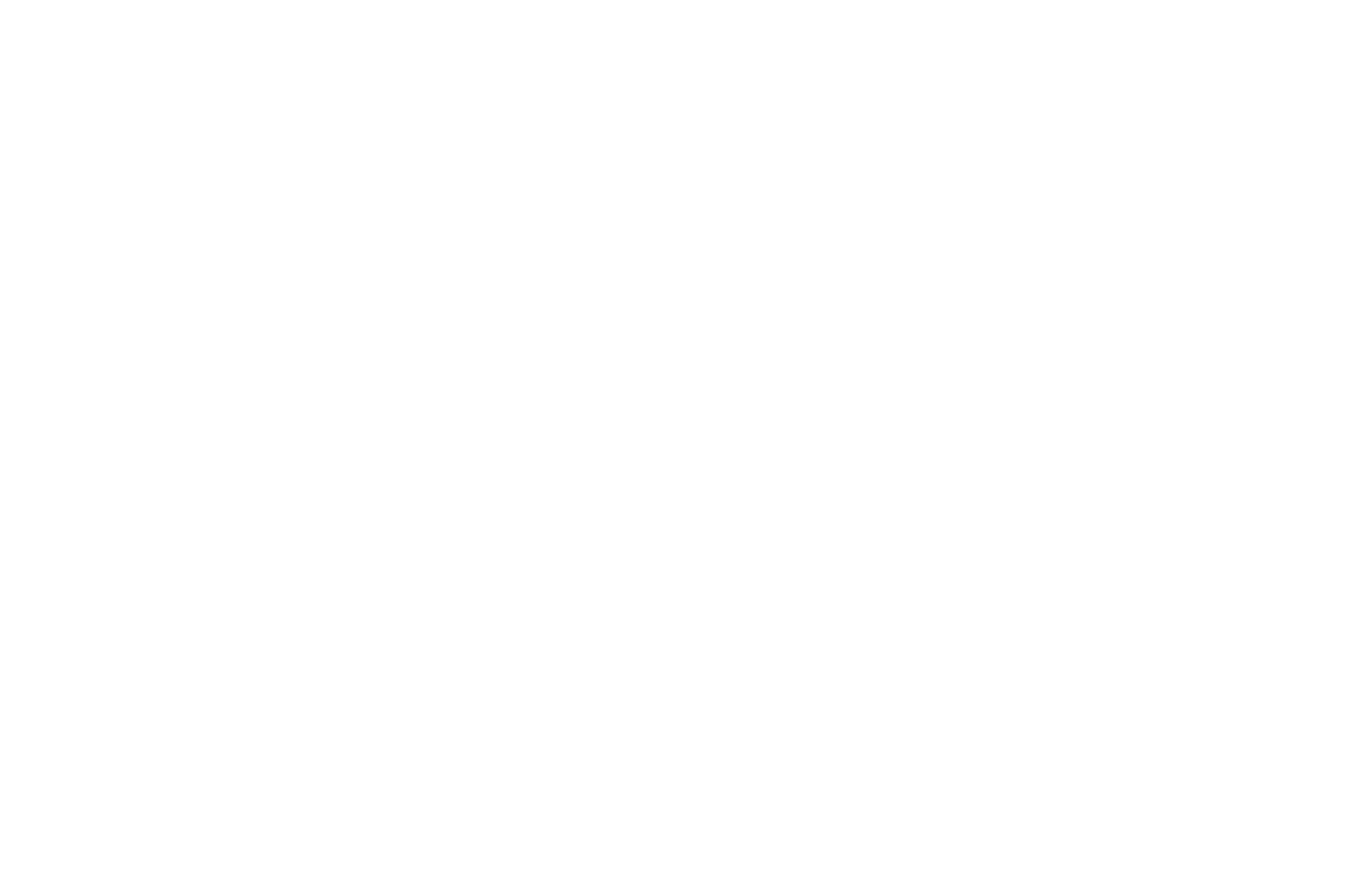 Pure Play Partners Logo